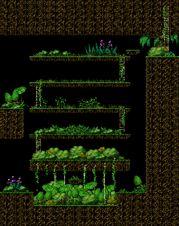 Minimap of Hunting Ground in the Deep Forest I