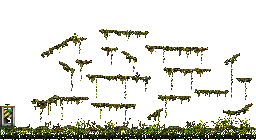Minimap of The Swamp of Despair I
