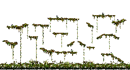 Minimap of The Swamp of Despair III