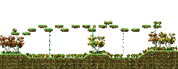 Minimap of Tomato Field