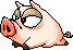 Pig sprite